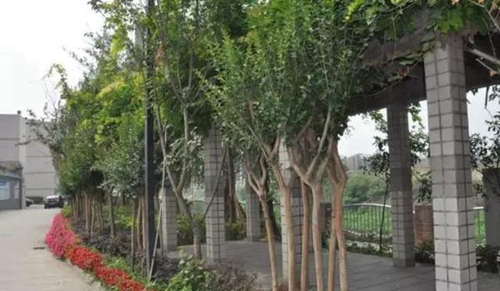 核工業(yè)成都機(jī)電學(xué)校長廊
