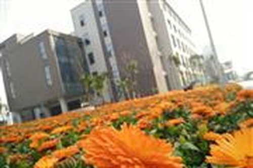 四川省志翔職業(yè)技術學校校園環(huán)境