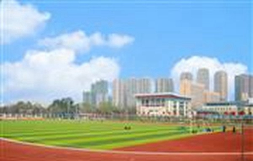 四川省志翔職業(yè)技術學校足球場