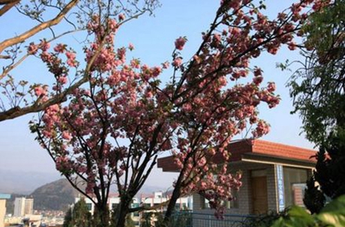 貴州盤江投資控股（集團(tuán)）有限公司技工學(xué)校風(fēng)景