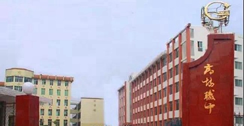 宜賓縣高場職業(yè)中學(xué)校(宜賓職教中心/天坤高場職中)校門