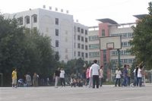 攀枝花市經(jīng)貿(mào)旅游學(xué)?；@球場