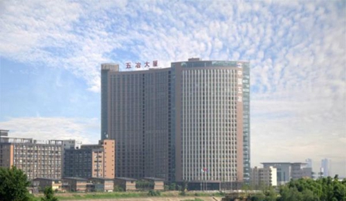 中國五冶大學(xué)高新校區(qū)五冶大廈