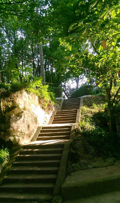 宜賓縣科普職業(yè)技術學校校園道路