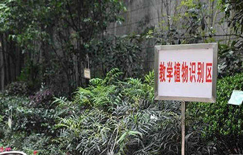 重慶市風景園林技工學校教學植物識別區(qū)