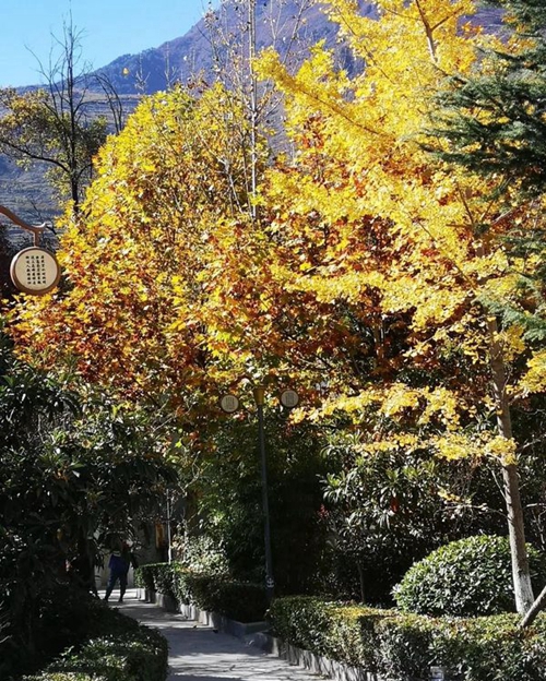 四川省威州民族師范學(xué)校秋日校園