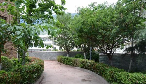 四川省威州民族師范學(xué)校校園綠化