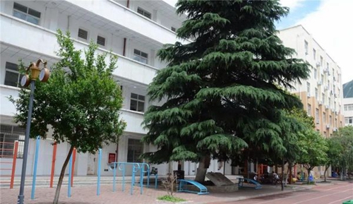 四川省威州民族師范學(xué)校運動器械