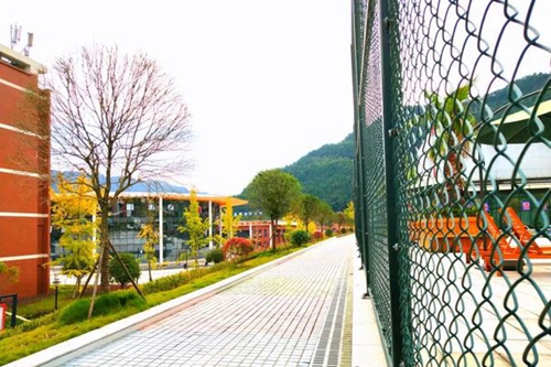 四川省通江縣職業(yè)高級(jí)中學(xué)校園小道