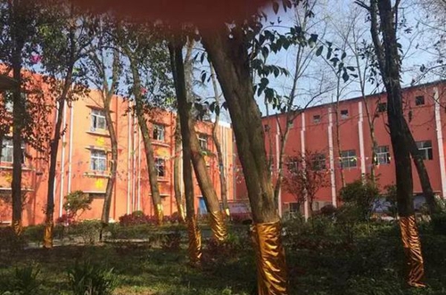 達(dá)州華南理工職業(yè)技術(shù)學(xué)校美麗校園