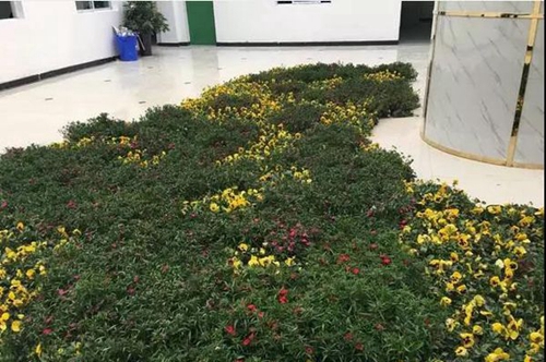 達(dá)州華南理工職業(yè)技術(shù)學(xué)校校園花圃