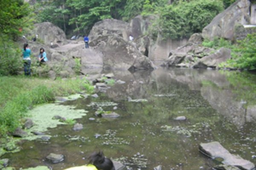 達(dá)州華南理工職業(yè)技術(shù)學(xué)校校園一角2