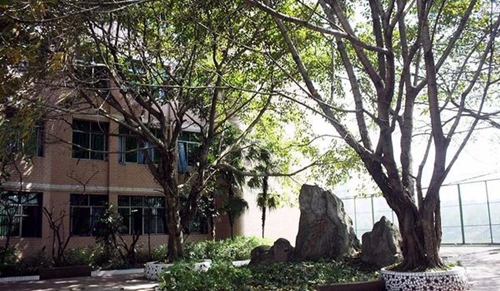 渠縣職業(yè)中專學(xué)校書山