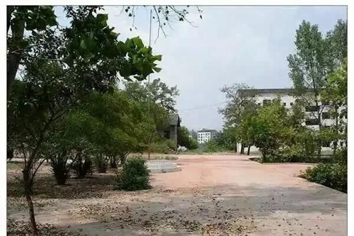 渠縣靜邊職業(yè)中學(xué)校園一角3