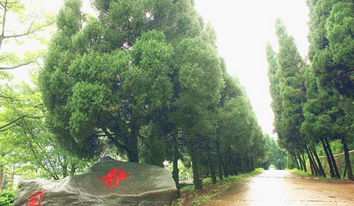 攀枝花市華森職業(yè)學(xué)校校園一角