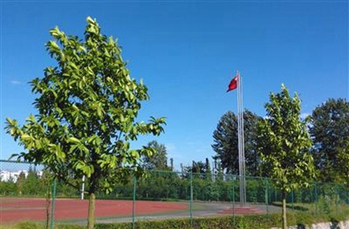 內(nèi)江鐵路機(jī)械學(xué)校（內(nèi)江鐵技校）郫縣安德校區(qū)運(yùn)動(dòng)場(chǎng)一角