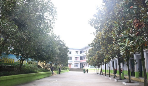 資中電子工程職業(yè)技術(shù)學(xué)校綠色校園
