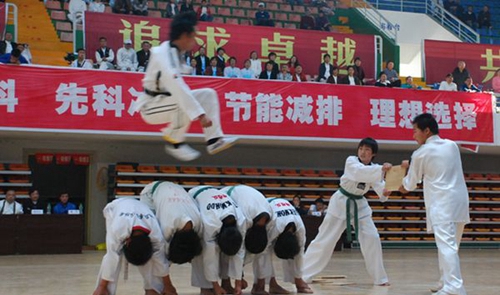 廣安市康泉文化武術(shù)學(xué)校跆拳道訓(xùn)練