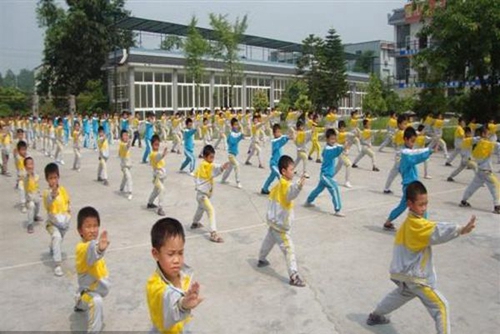 廣安市康泉文化武術(shù)學(xué)校武術(shù)文化