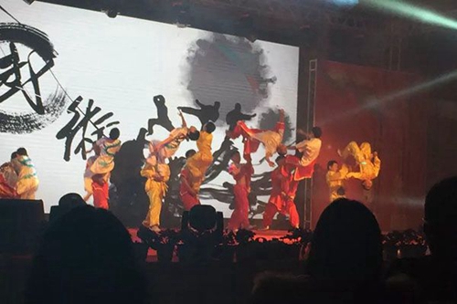廣安市康泉文化武術(shù)學(xué)校龍騰虎躍