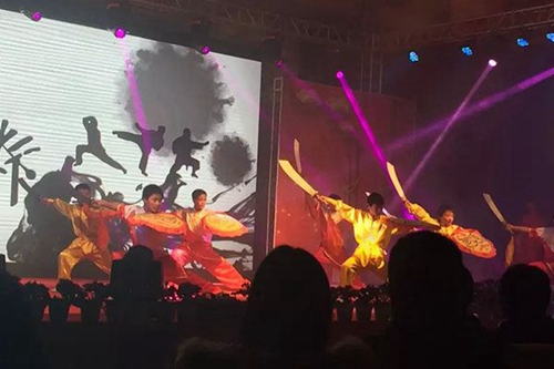廣安市康泉文化武術(shù)學(xué)校武術(shù)表演3