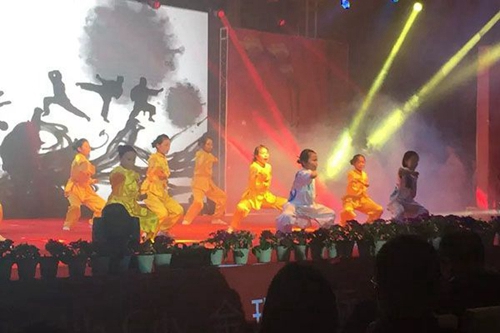 廣安市康泉文化武術(shù)學(xué)校武術(shù)表演2