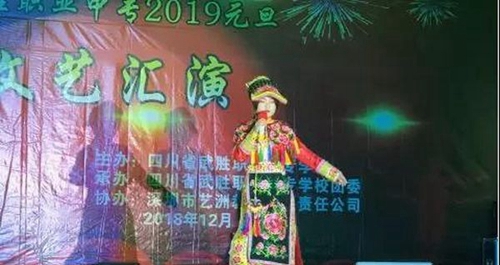 四川省武勝職業(yè)中專學(xué)校元旦晚會4