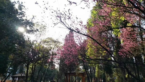貴陽電子職業(yè)學(xué)校公園式校園
