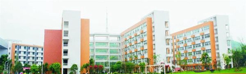 四川省犍為職業(yè)高級中學足球場