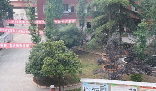 樂山商務(wù)技工學(xué)校校園干道
