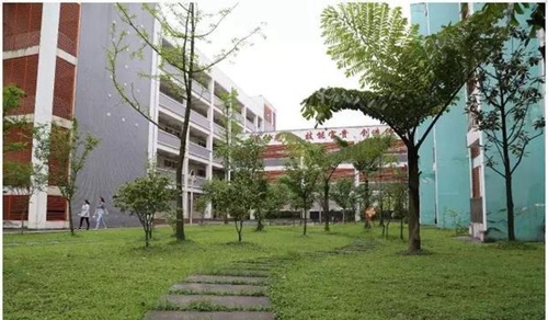 四川省敘永縣職業(yè)高級中學(xué)校草坪