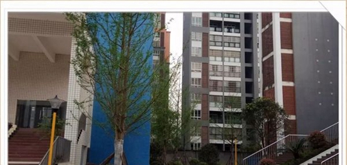 四川省敘永縣職業(yè)高級中學(xué)校校園環(huán)境