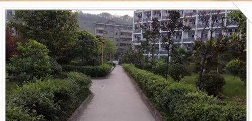 四川省敘永縣職業(yè)高級中學(xué)校校園小徑