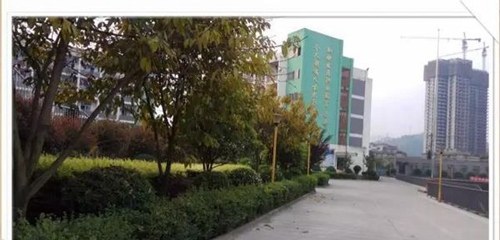 四川省敘永縣職業(yè)高級中學(xué)校校園一角
