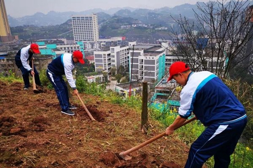 四川省敘永縣職業(yè)高級中學(xué)校挖坑