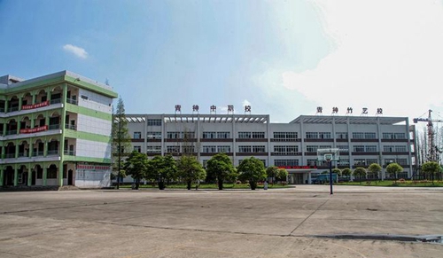 四川省青神中等職業(yè)技術學?；@球場