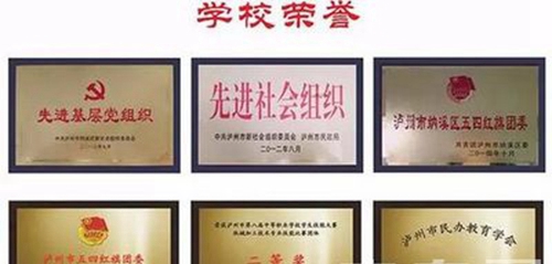 瀘州市天樺職業(yè)技術(shù)學(xué)校榮譽