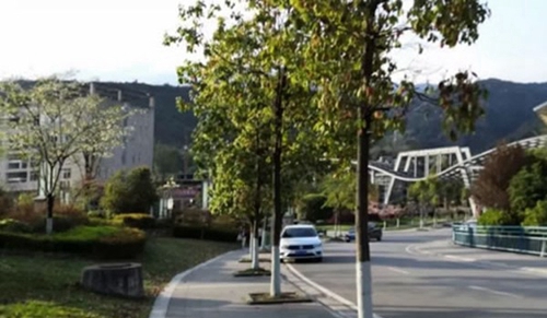 阿壩師范學(xué)院校園小道