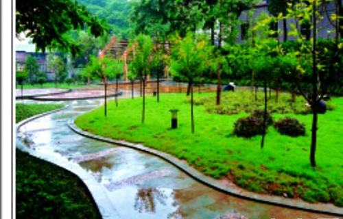 重慶電力高等專科學校校園小道