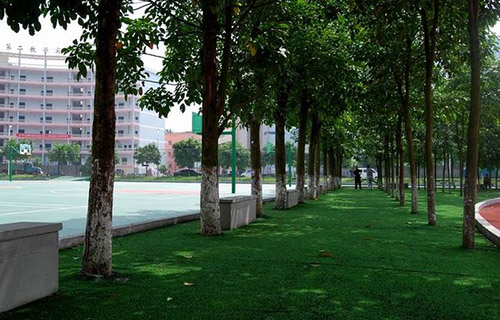 重慶工貿(mào)職業(yè)技術(shù)學(xué)院運動場林蔭大道