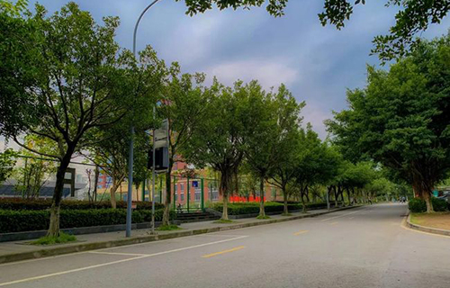 重慶電子工程職業(yè)學院學校主干道2
