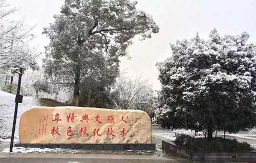重慶電子工程職業(yè)學院銀裝素裹