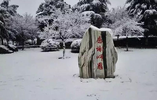 重慶電子工程職業(yè)學院校園石