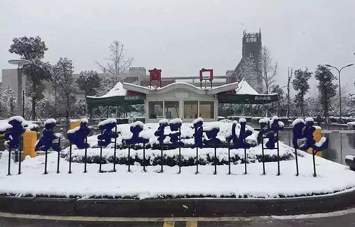 重慶電子工程職業(yè)學院校園雪景