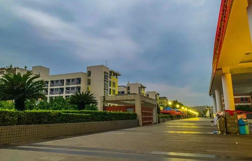 重慶電子工程職業(yè)學院學校主干道