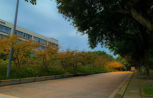 重慶電子工程職業(yè)學院清晨校園