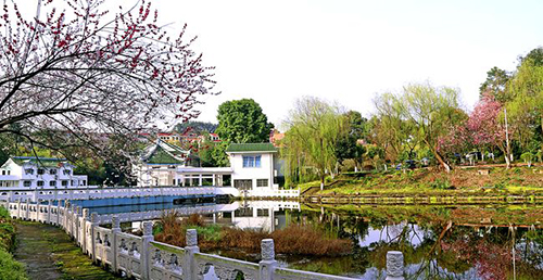 重慶信息技術(shù)職業(yè)學院風景如畫