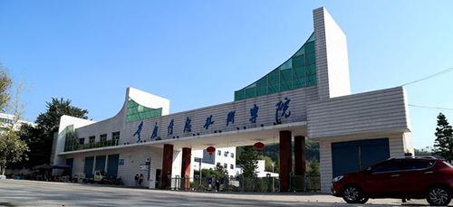 重慶信息技術(shù)職業(yè)學院校門