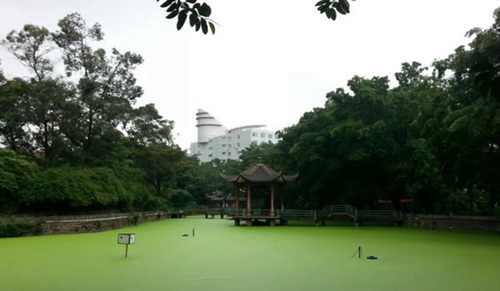 四川機(jī)電職業(yè)技術(shù)學(xué)院行知湖美景