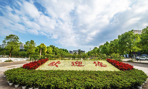 重慶城市管理職業(yè)學院校園花壇